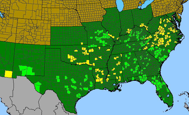 The range of Hexalectris spicata